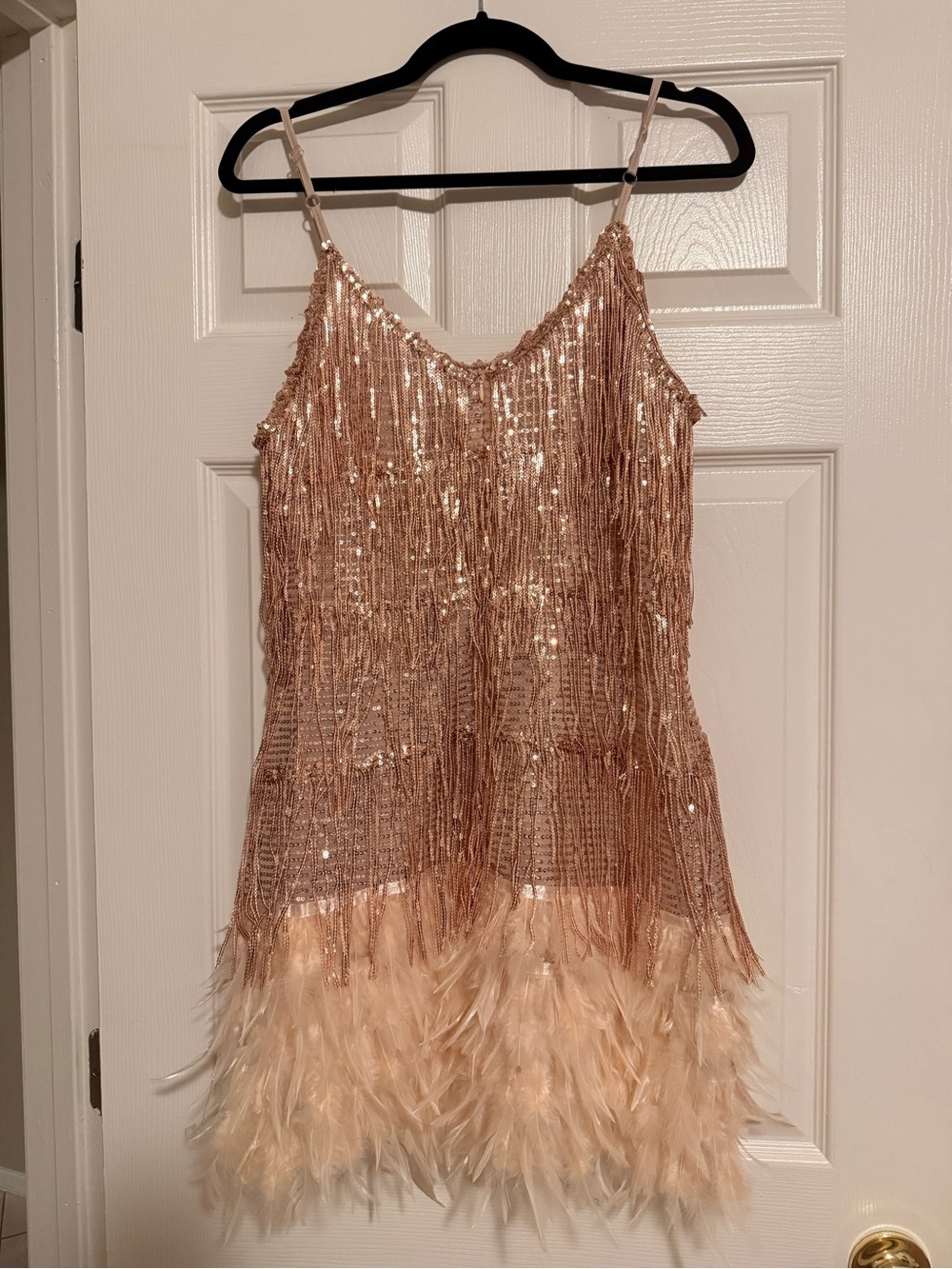 Austyn Tassel Feather Mini Dress In Champagne (new with tags, never worn) - Picture 6 of 7
